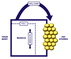 STOP Carb-Based Fat Spill-Over